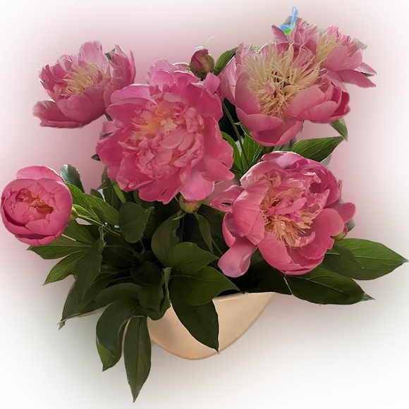 Meet your Posher, Flo - Picture 12 of 13